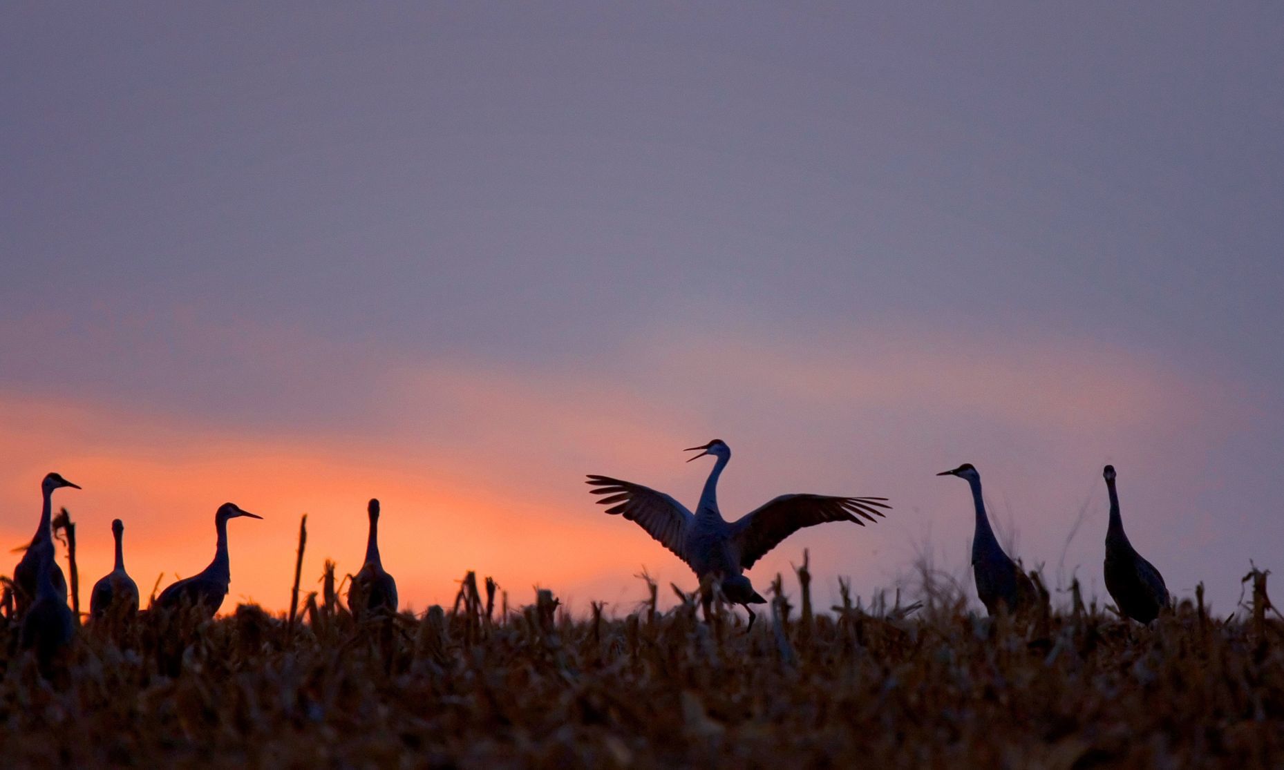 Best of Nebraska